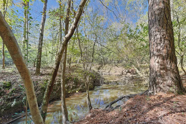 $350,000 | 595 Andrew Jackson Drive, Livingston, TX 77351