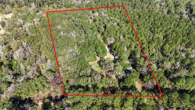 $350,000 | 595 Andrew Jackson Drive, Livingston, TX 77351