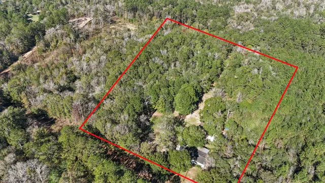 $350,000 | 595 Andrew Jackson Drive, Livingston, TX 77351