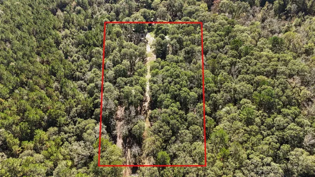 $350,000 | 595 Andrew Jackson Drive, Livingston, TX 77351