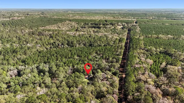 $350,000 | 595 Andrew Jackson Drive, Livingston, TX 77351