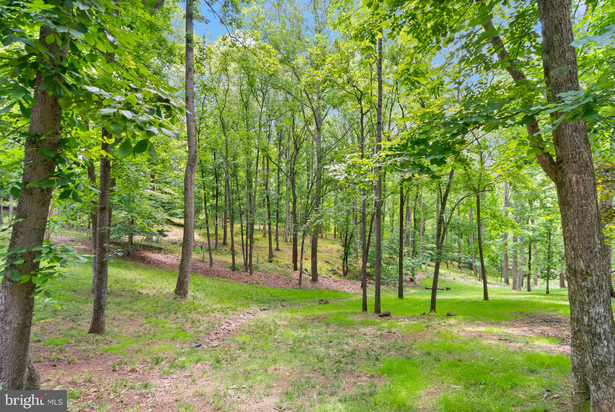 38620 Lime Kiln Road Leesburg, VA 20175 - Photo 20 of 81 Gallery Image 20