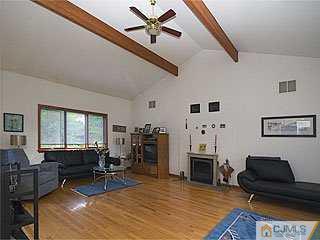 115 Hollow Road Skillman, NJ 08558 - Photo 4 of 8 a living room with furniture a fireplace and a flat screen tv