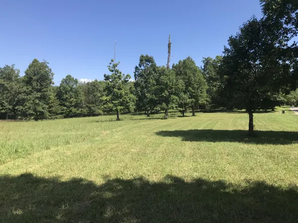 a view of a field with trees in the background