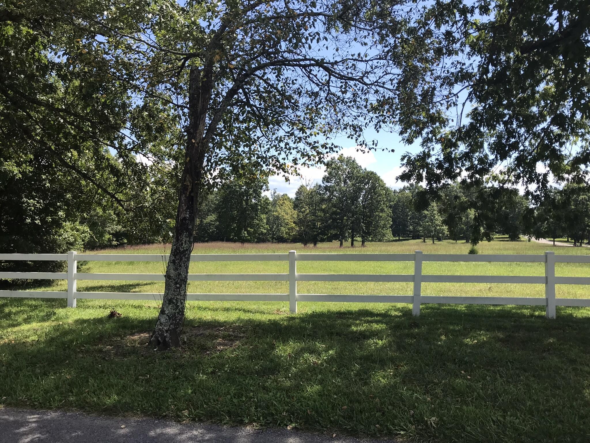 1 Lake George Drive Dunlap, TN 37327 - Photo 13 of 26 a view of outdoor space