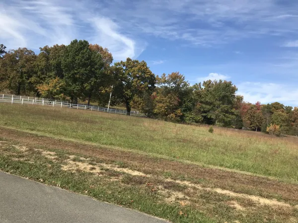 a view of a field with trees in background