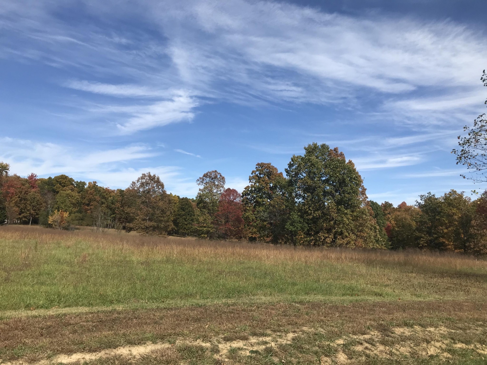 1 Lake George Drive Dunlap, TN 37327 - Photo 15 of 26 a view of a lake with houses in the back