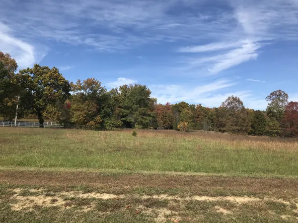a view of a lake with a yard