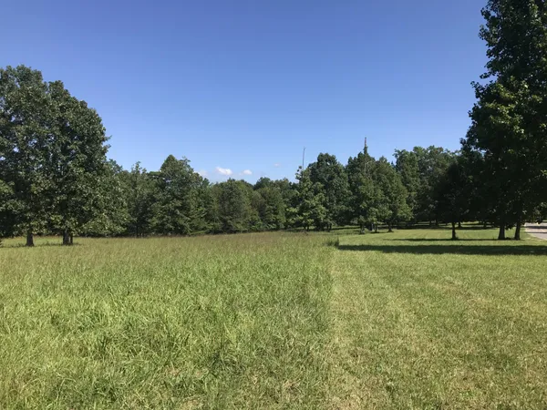 a yard with lots of green space and trees in the background