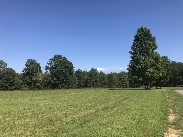 a view of a field with a tree in the background