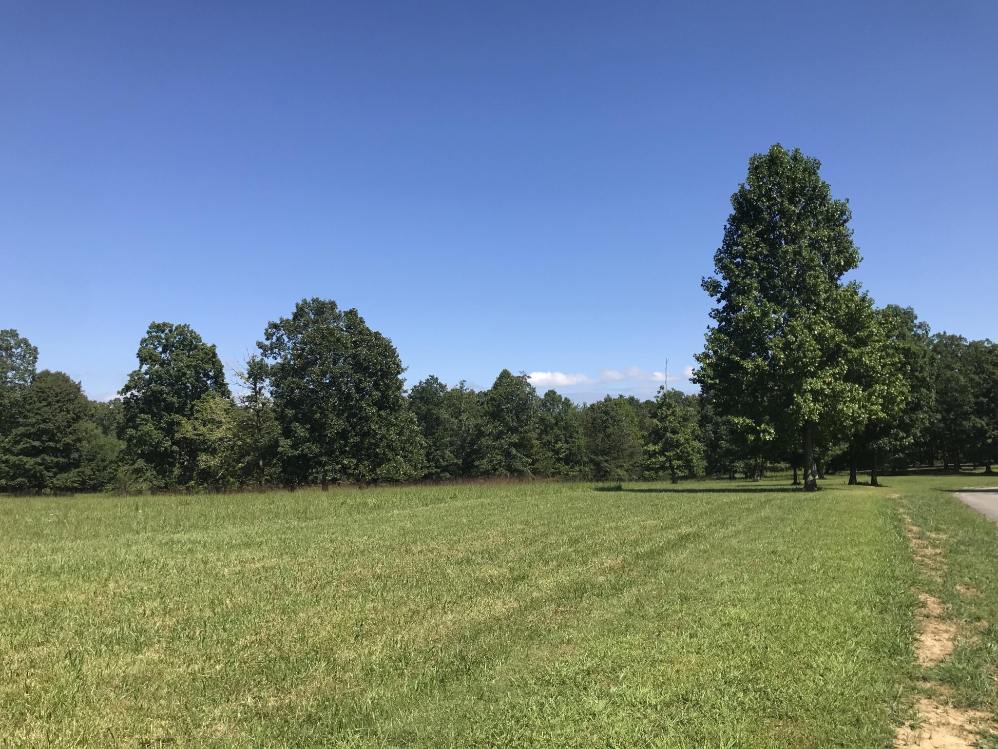 1 Lake George Drive Dunlap, TN 37327 - Photo 18 of 26 a view of a field with a tree in the background