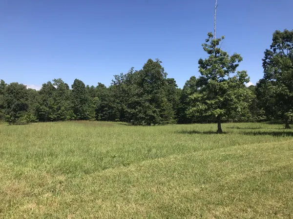 a view of a field with trees in the background