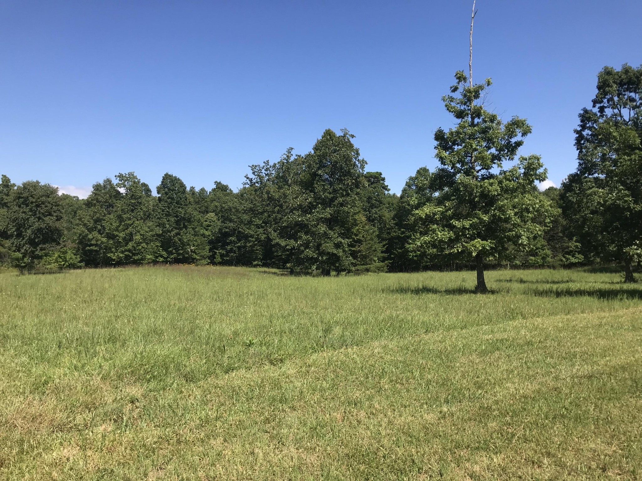 1 Lake George Drive Dunlap, TN 37327 - Photo 20 of 26 a view of a field with trees in the background