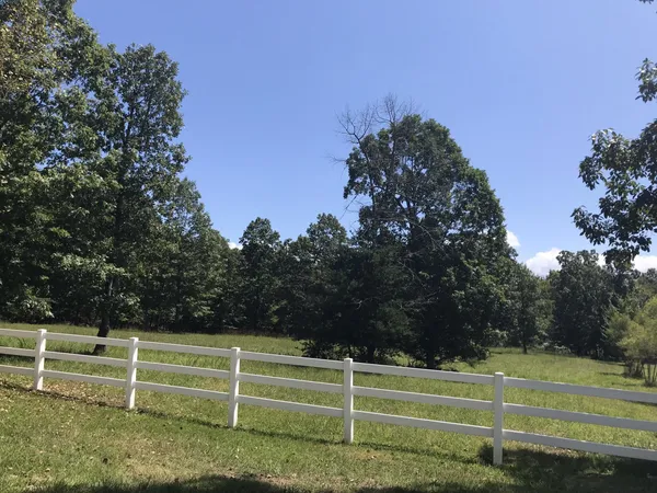 a view of a tennis ground with large trees