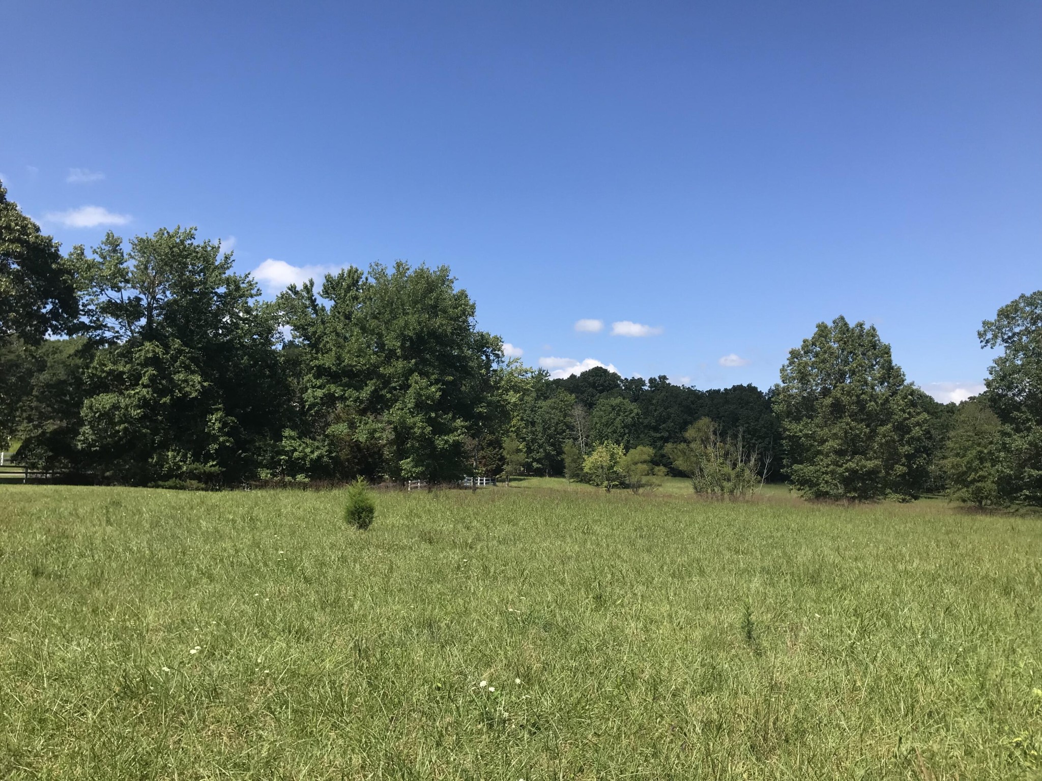 1 Lake George Drive Dunlap, TN 37327 - Photo 22 of 26 a view of a field with a tree in the background