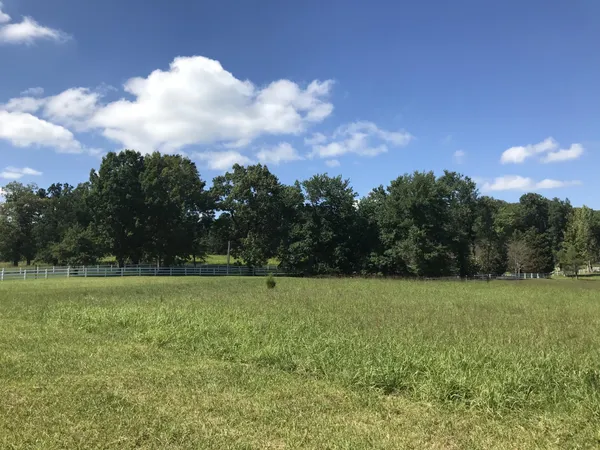 a view of a field with an trees in the background