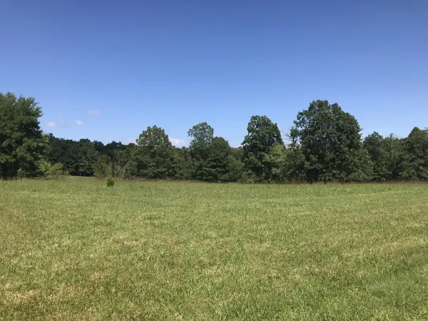 a view of a field with an ocean