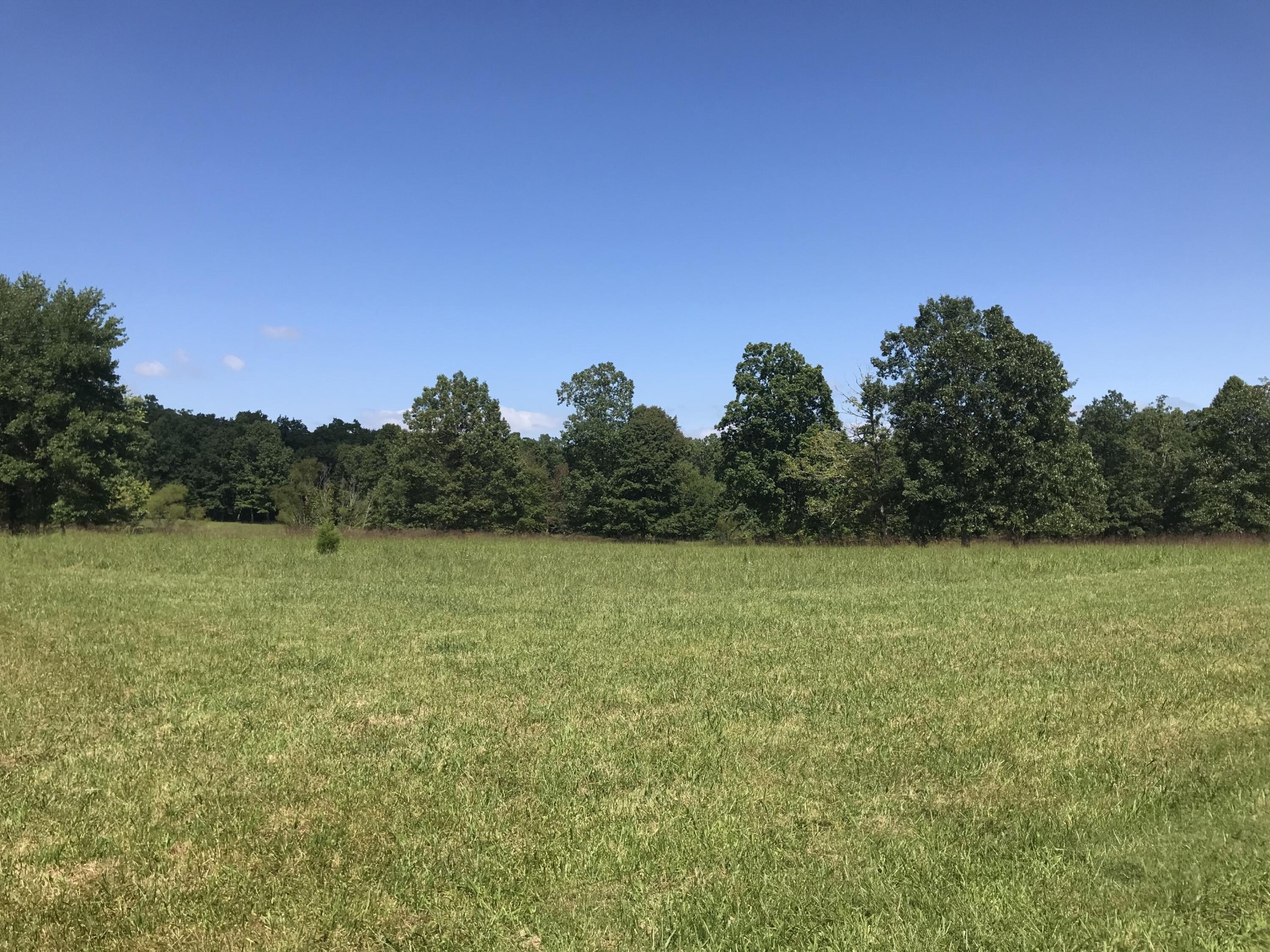 1 Lake George Drive Dunlap, TN 37327 - Photo 10 of 26 a view of a field with an ocean