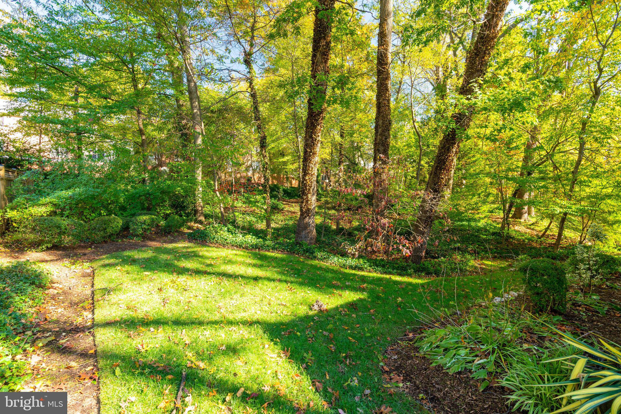 8120 Langbrook Road Springfield, VA 22152 - Photo 64 of 68 Gallery Image 64