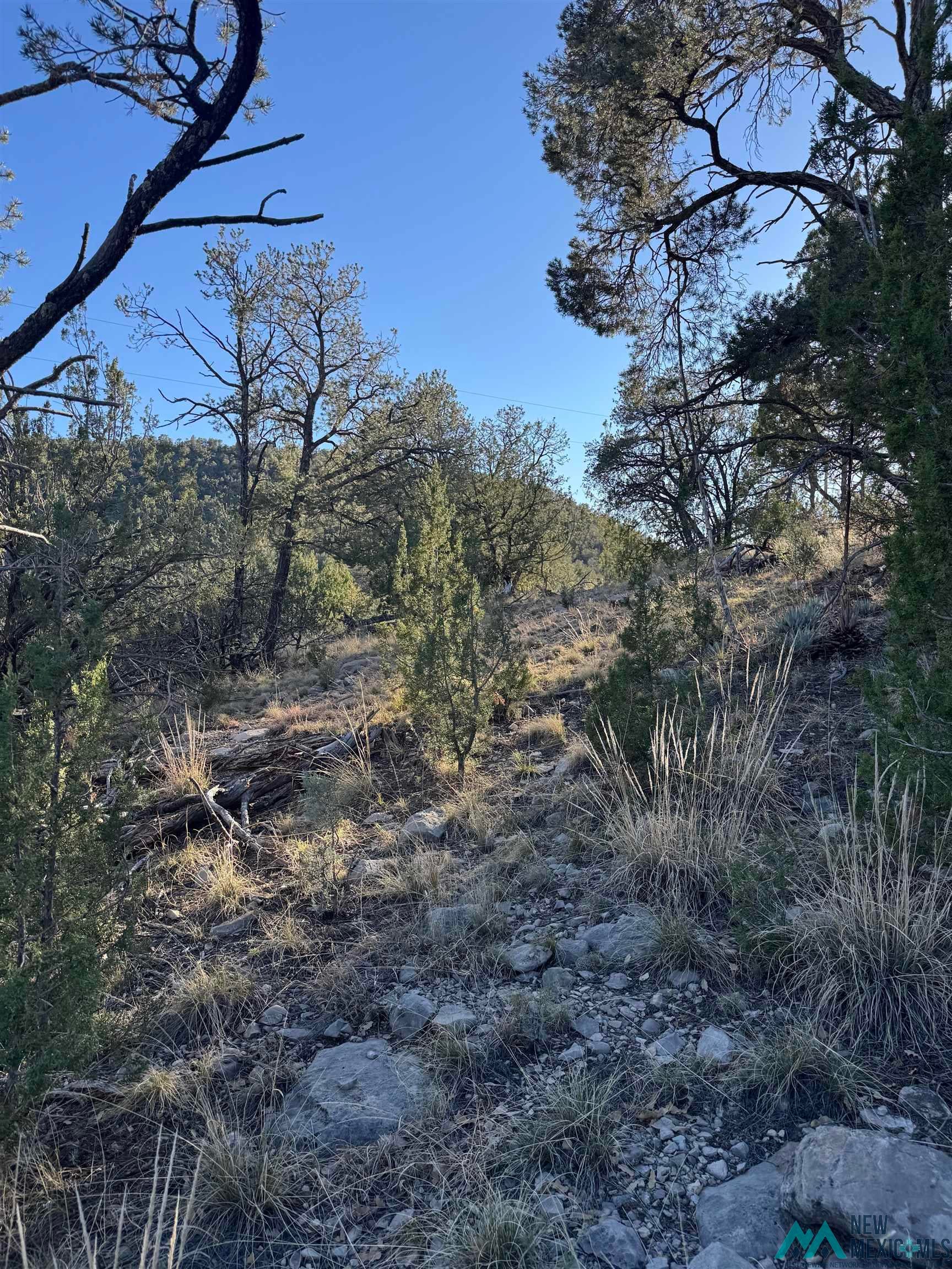 Lot 80 Longfellow Road Timberon, NM 88350 - Photo 3 of 7 View of nature
