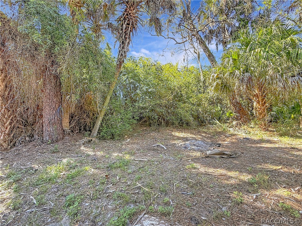 416 North Hourglass Terrace Crystal River, FL 34429 - Photo 49 of 62