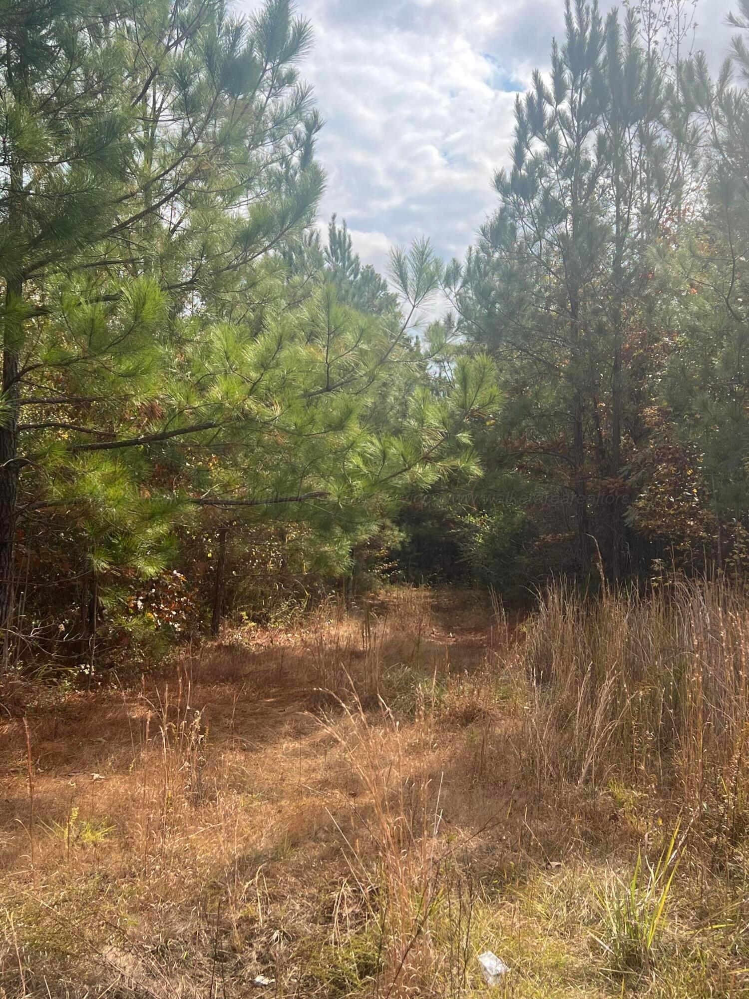 2600 Coprich Road Fayette, AL 35555 - Photo 1 of 2 IMG_4148
