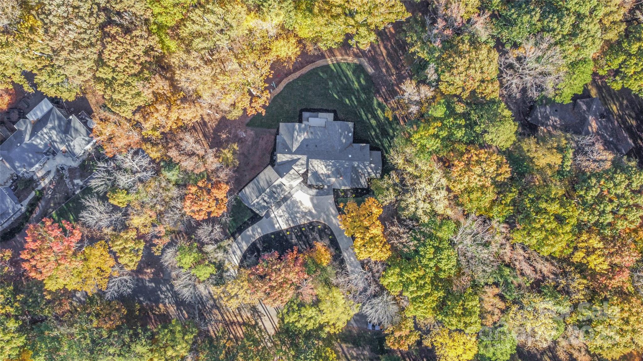 6632 Silver Fox Road Charlotte, NC 28270 - Photo 39 of 42 a picture of trees
