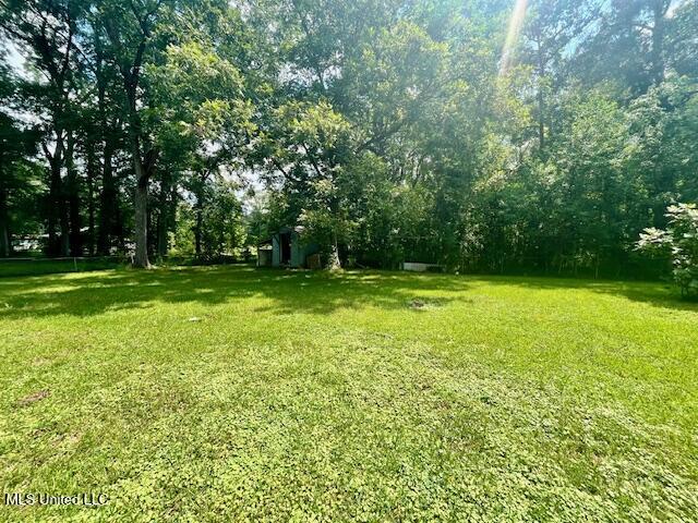 226 Oak Street Mize, MS 39116 - Photo 10 of 11 IMG_2287