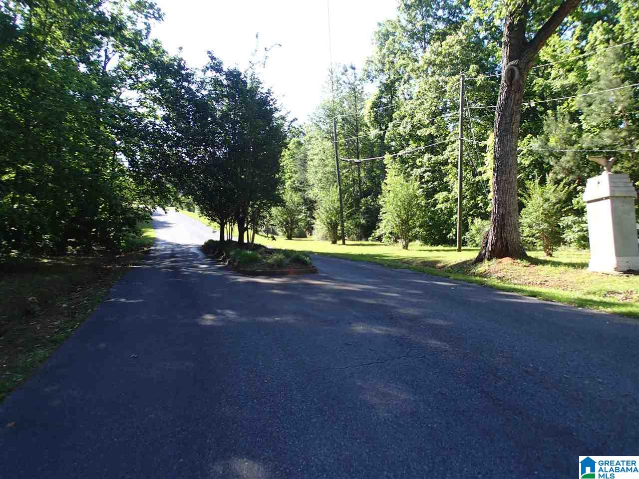 255 Grandview Ridge Alpine, AL 35014 - Photo 2 of 29 Gallery Image 2