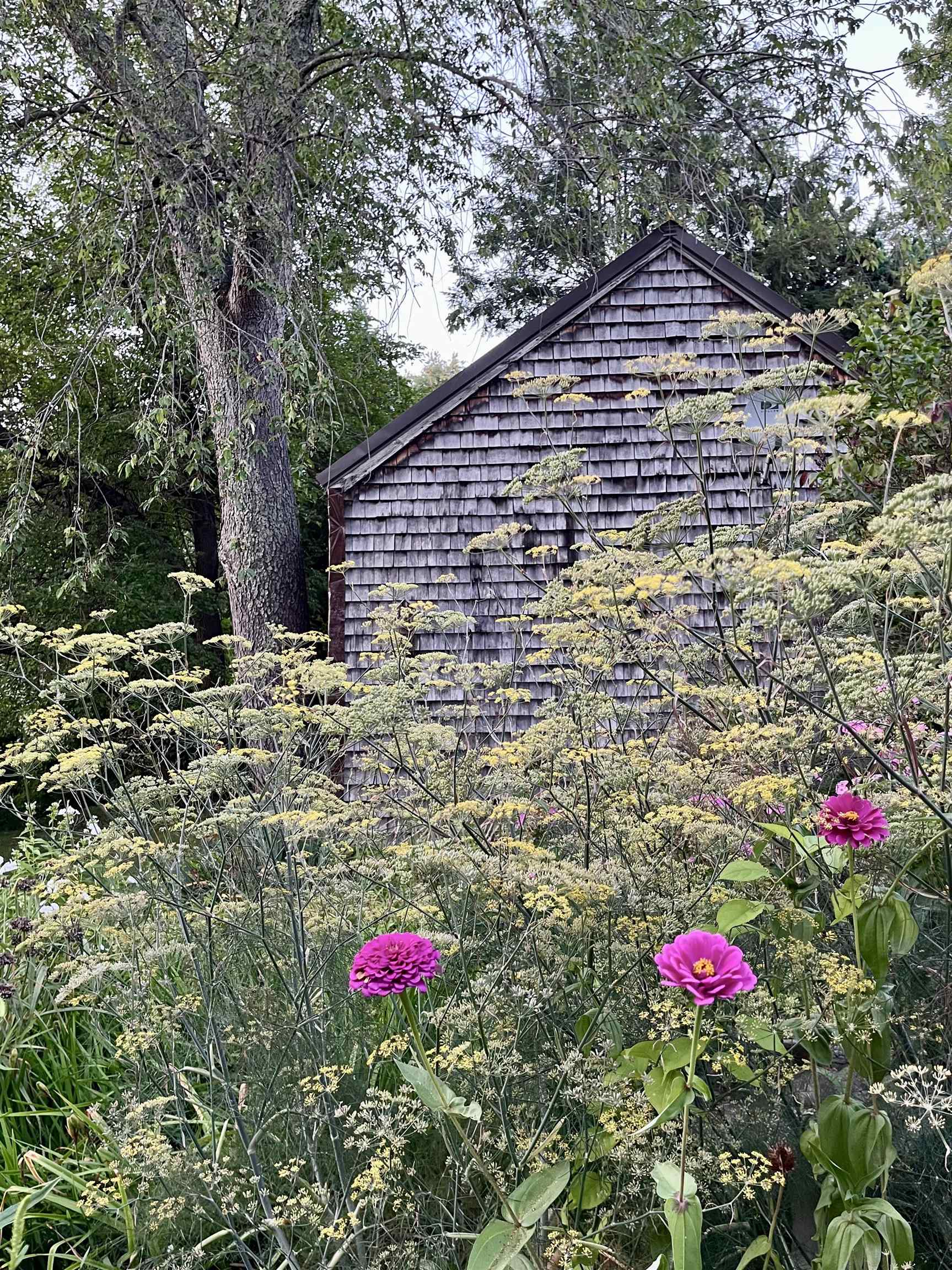 3 Moulton Ridge Road Kensington, NH 03833 - Photo 46 of 51 Gallery Image 46