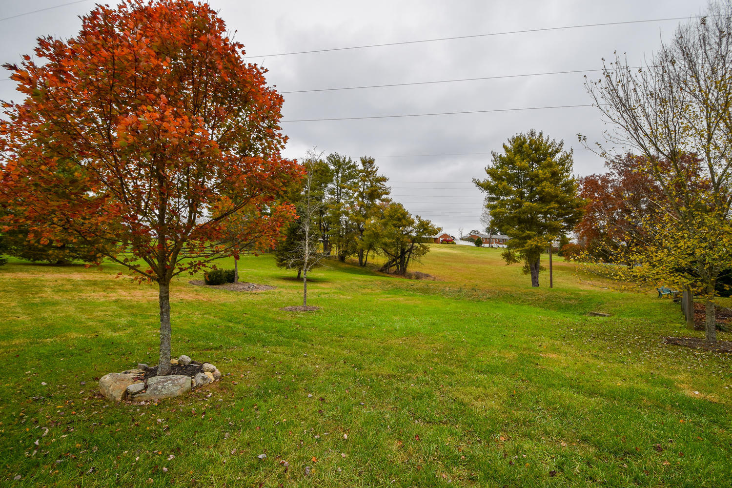 4205 Grandin Road Roanoke, VA 24018 - Photo 36 of 38 4205 Grandin Rd Roanoke VA-large-036-8-P