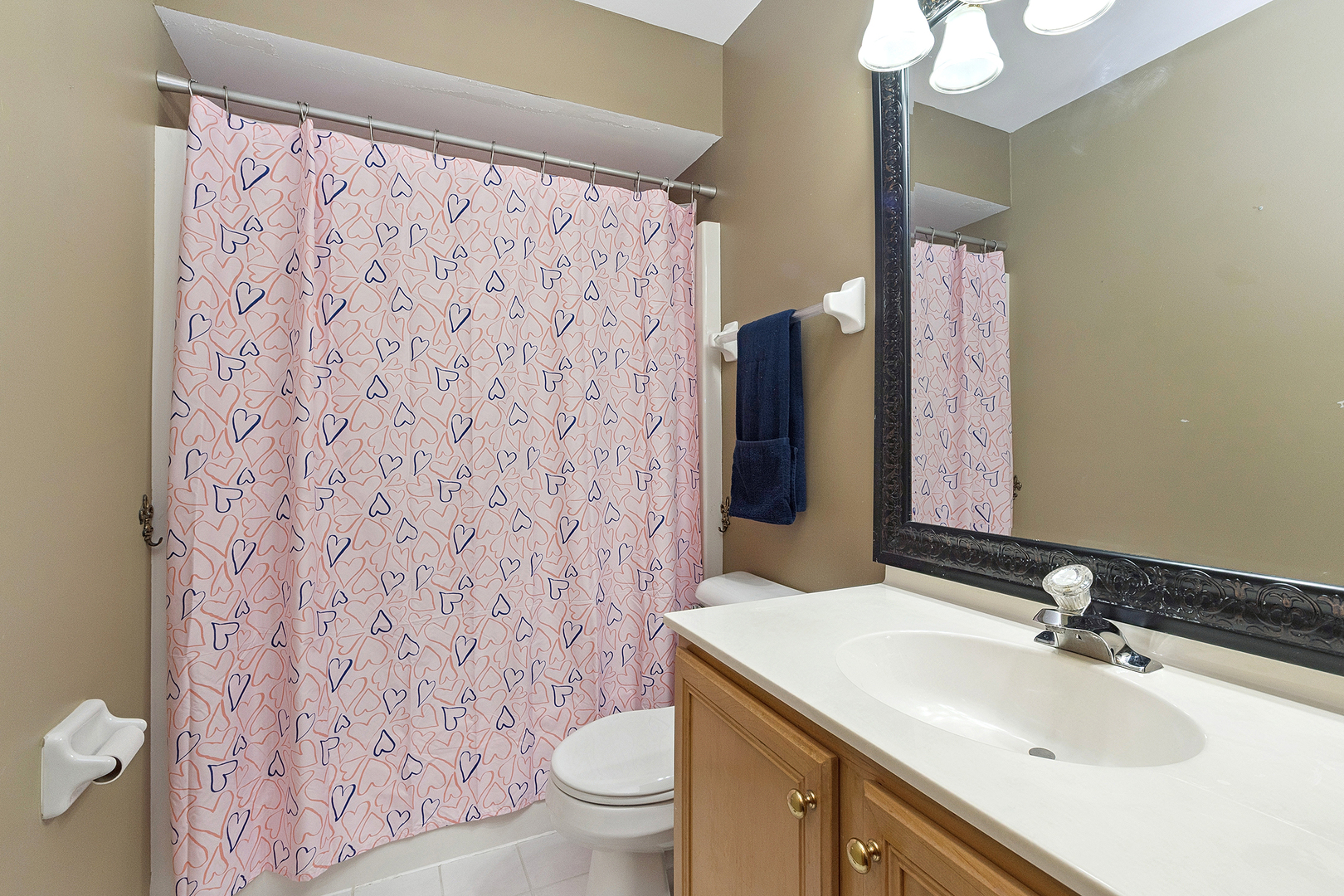 24929 Vermette Road Plainfield, IL 60585 - Photo 22 of 31 a bathroom with a sink toilet and shower