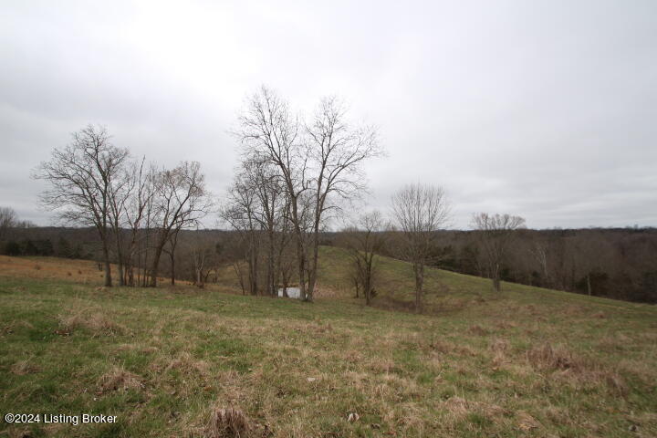 0 Timber Creek Road Lawrenceburg, KY 40342 - Photo 12 of 16 IMG_8054