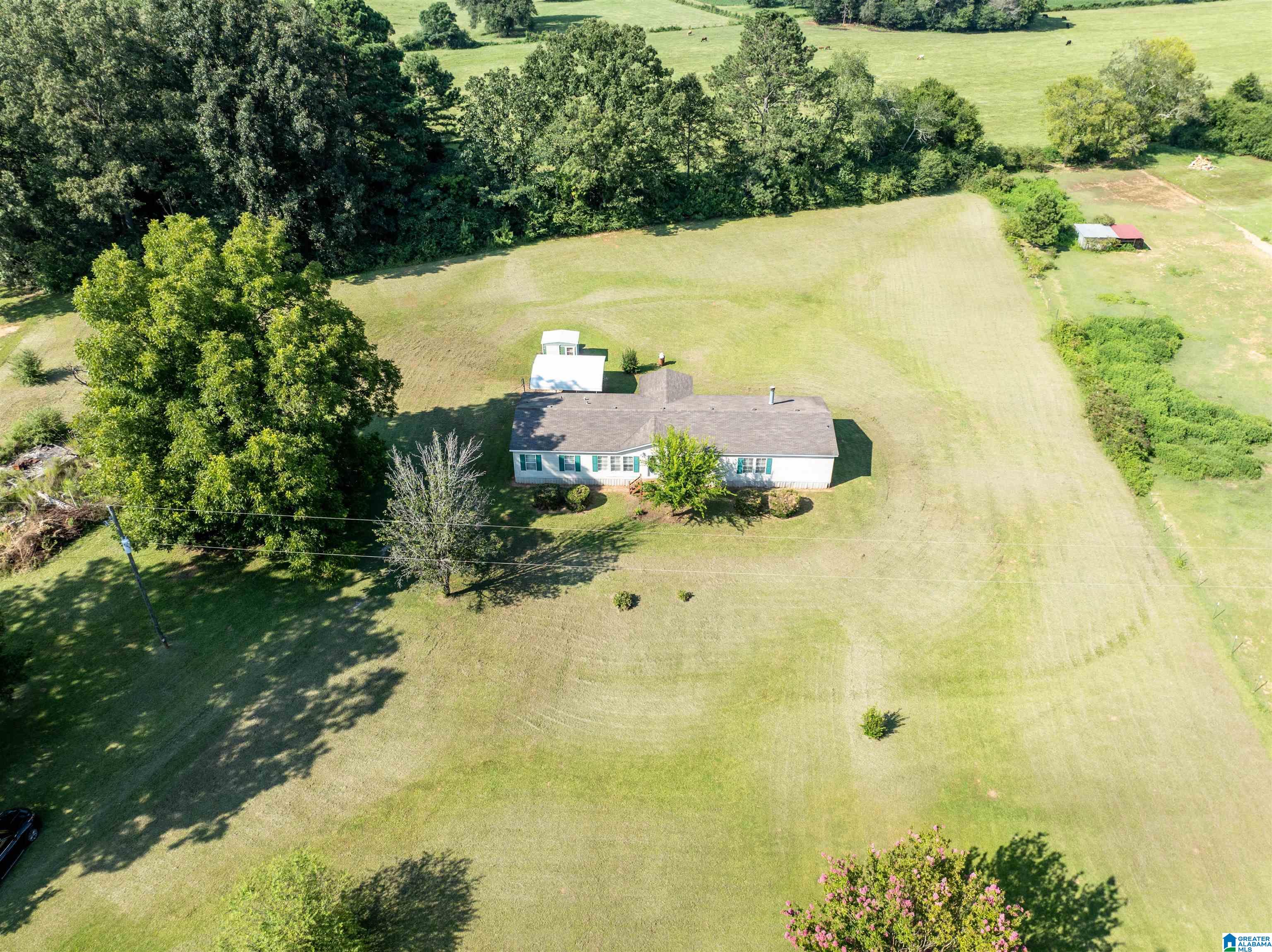 187 Henderson Lake Road Munford, AL 36268 - Photo 1 of 38