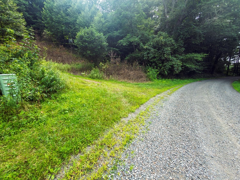 154 Buffalo Road, Unit 73A11 Dugspur, VA 24325 - Photo 11 of 41 Gallery Image 11
