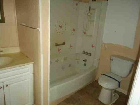 4857 Cascade Road Cascade, VA 24069 - Photo 7 of 10 a bathroom with a toilet and a shower