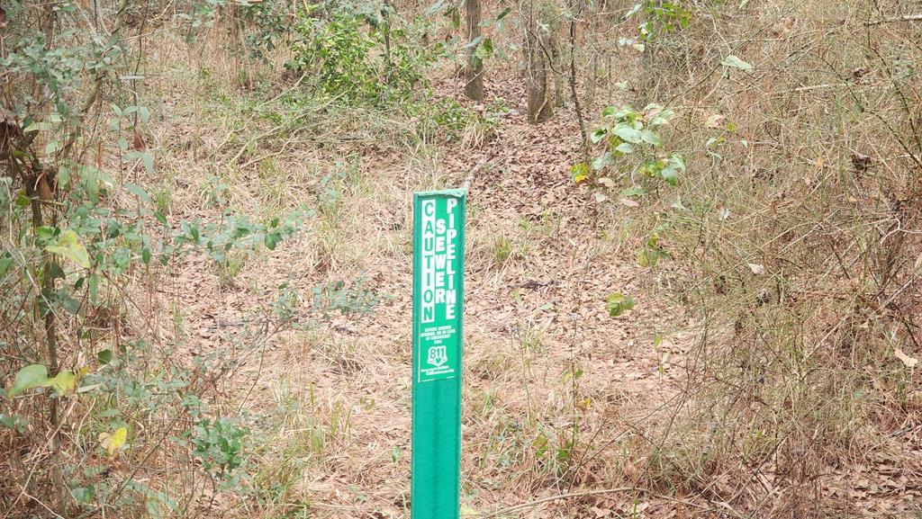 15.05 Pera Road Samson, AL 36477 - Photo 29 of 29