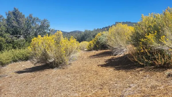 $29,000 | 1806 Zermatt Drive, Pine Mountain Club, CA 93222