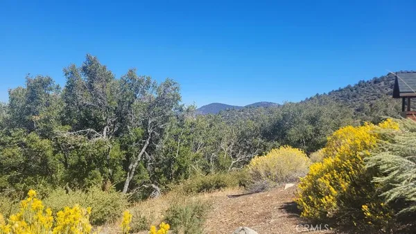 $29,000 | 1806 Zermatt Drive, Pine Mountain Club, CA 93222