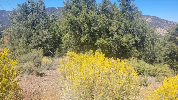 $29,000 | 1806 Zermatt Drive, Pine Mountain Club, CA 93222