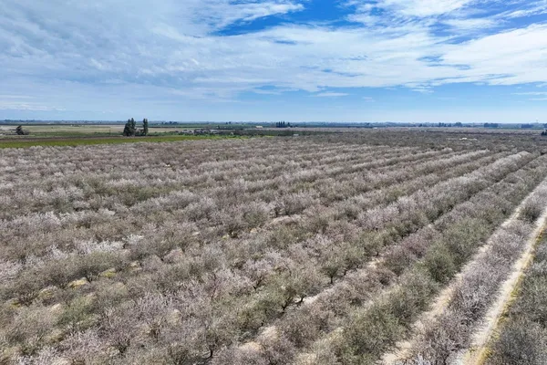 a view of a yard with a lake view