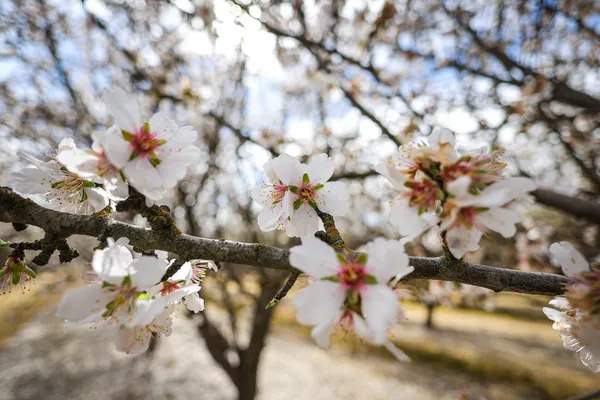 a view of a tennis court