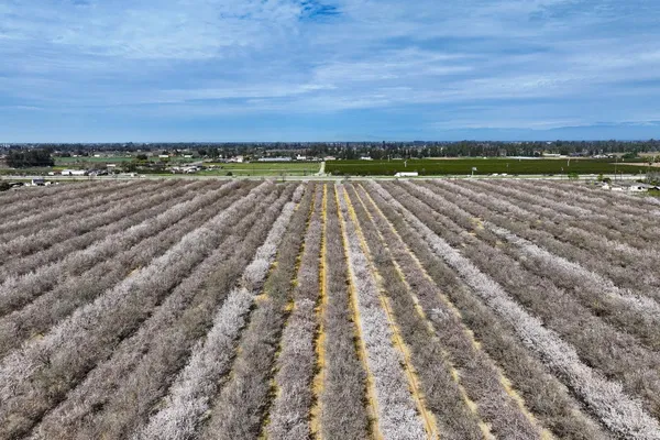 a view of a yard with an ocean