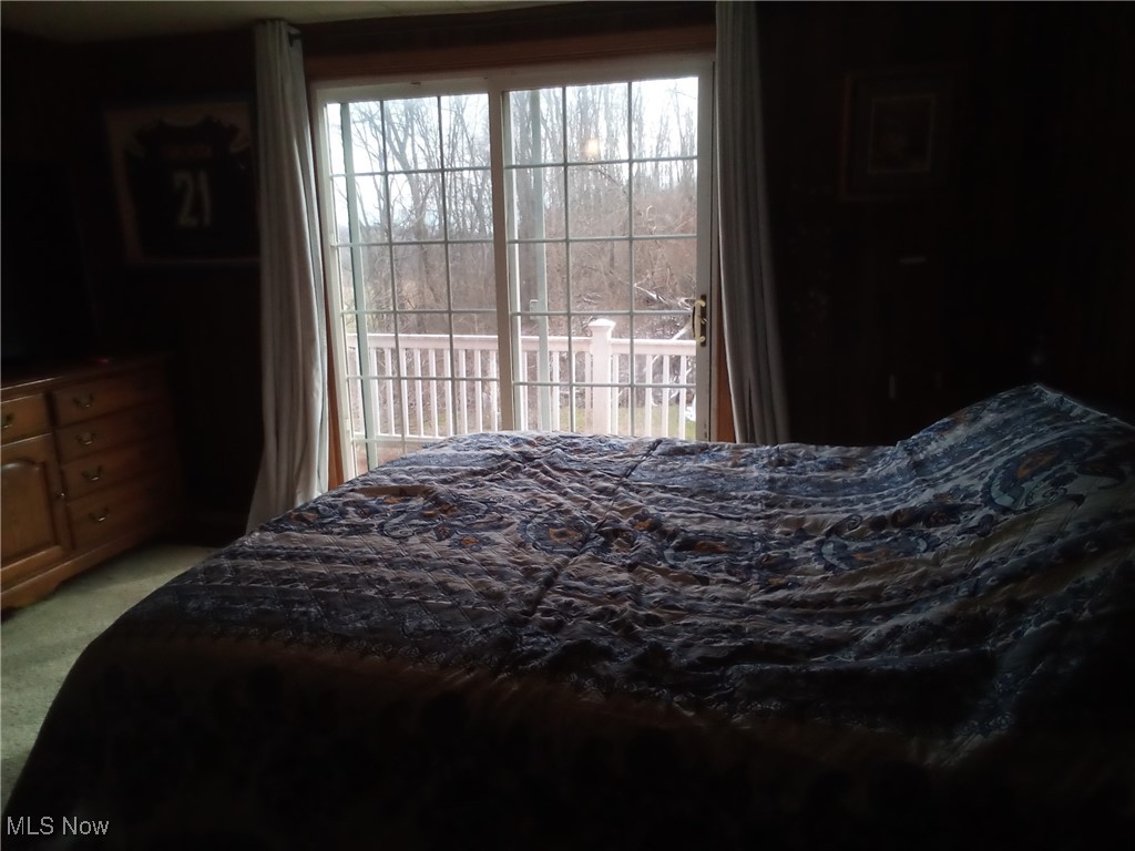 77900 Slater Road Cadiz, OH 43907 - Photo 11 of 19 Main floor bedroom