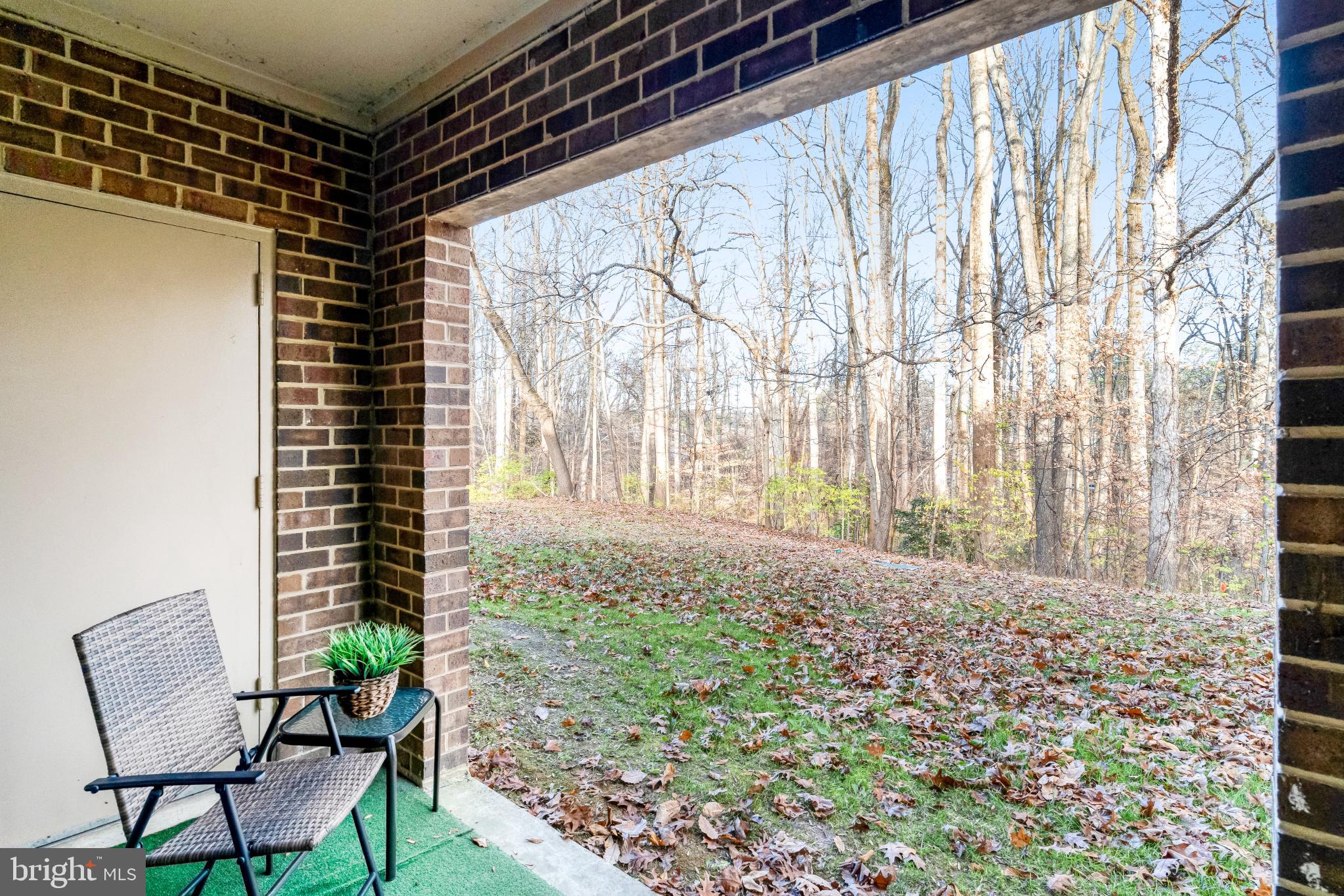 5825 Cove Landing Road, Unit 101 Burke, VA 22015 - Photo 29 of 30 Nature at its very best!