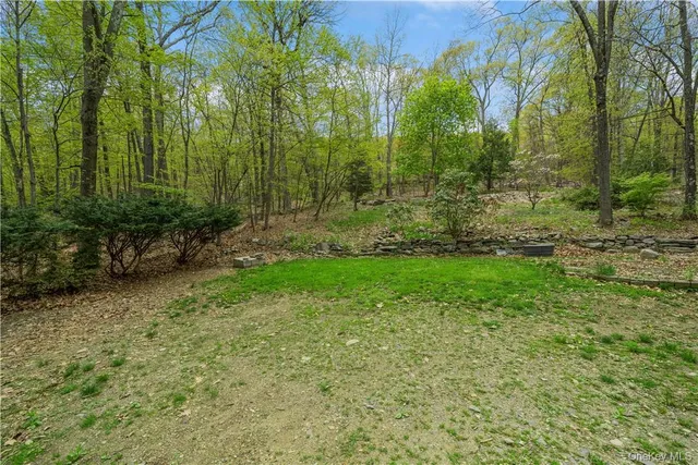a view of a yard with plants and large trees