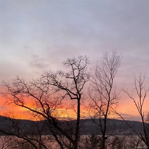 a backyard of a house with large trees