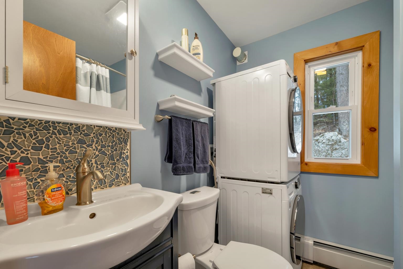 202 Alton Shores Road Alton, NH 03810 - Photo 41 of 59