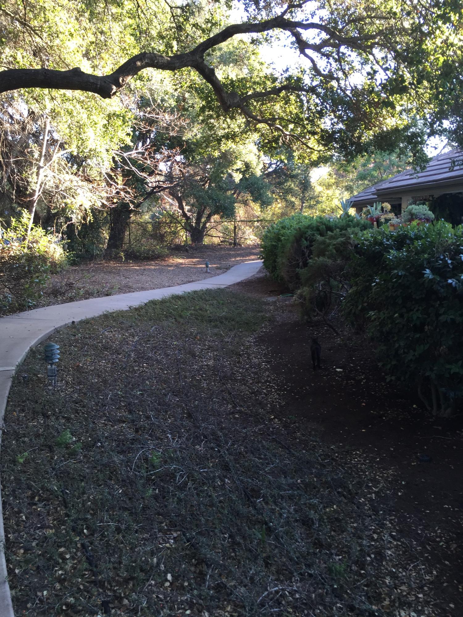 4046 Primavera Road, Unit 3 Santa Barbara, CA 93110 - Photo 14 of 14 sidewalk trail