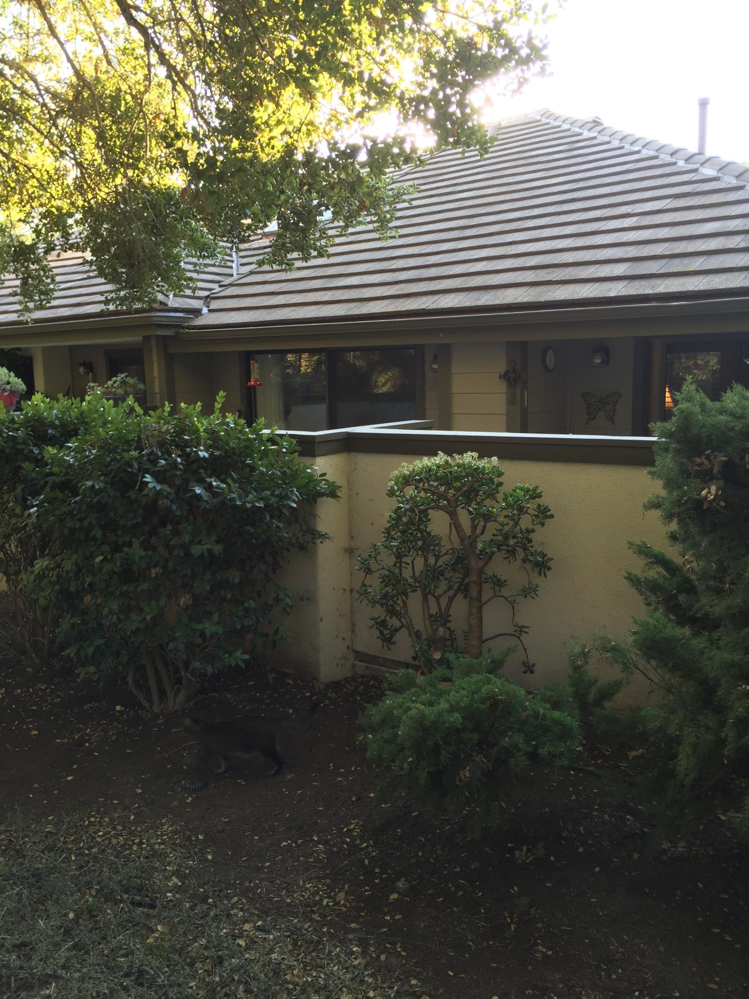 4046 Primavera Road, Unit 3 Santa Barbara, CA 93110 - Photo 4 of 14 back view